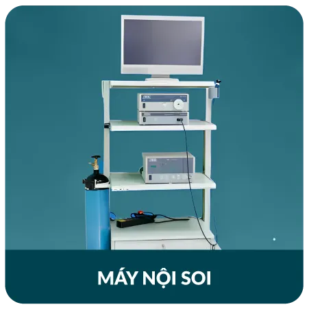 may-noi-soi