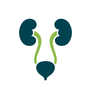 nguyen-nhan-viem-duong-tiet-nieu