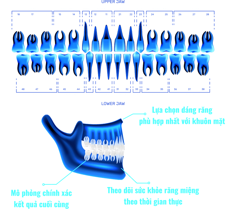 Công nghệ phục hình 6d