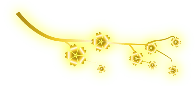 Răng Đẹp Đón Tết 2024