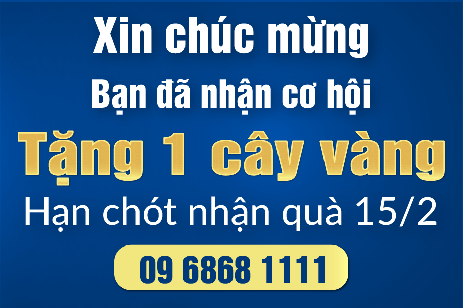 image-banner-ldp-jw-tet-chat