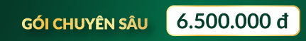 ldp-goi-tam-soat
