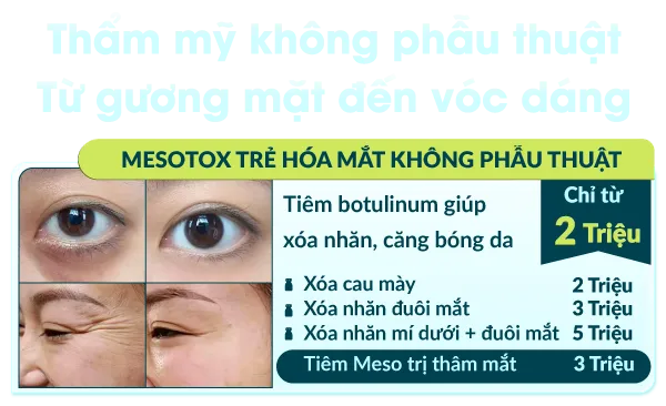 Hình ảnh section 1