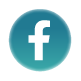 Zalo icon