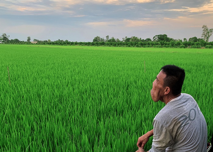 Anh Mến lên Sài Gòn cắt chỉ