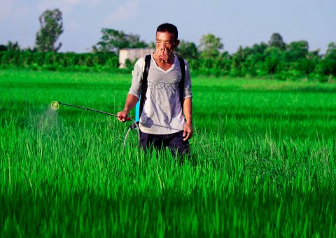 Anh Mến và khát vọng thoát khỏi danh phận “Chàng trai mặt quỷ”