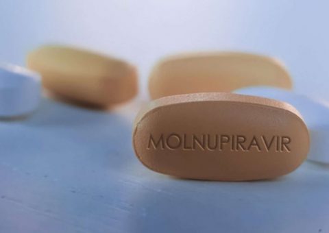 Sử dụng thuốc Molnupiravir trong điều trị Covid-19, hạn chế tỷ lệ chuyển nặng tại nhà