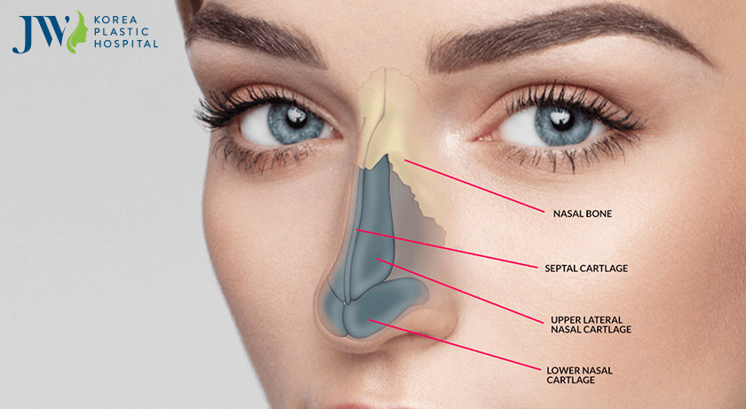Sửa mũi bị lộ sống? Nguyên nhân do đâu và cách phòng ngừa là gì?
