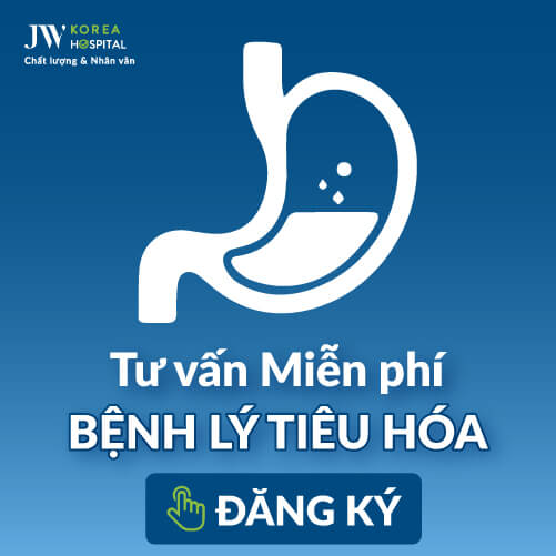 Banner cho danh mục Đường tiêu hóa
