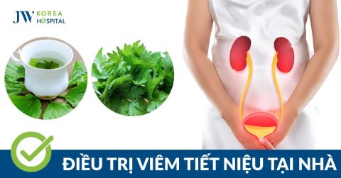 5 Cách điều trị viêm tiết niệu an toàn mà hiệu quả ngay tại nhà 