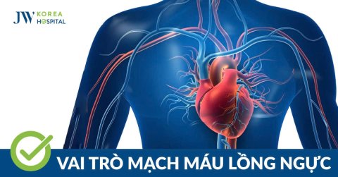 Mạch máu lồng ngực bất thường: Dấu hiệu và cách điều trị tại JW