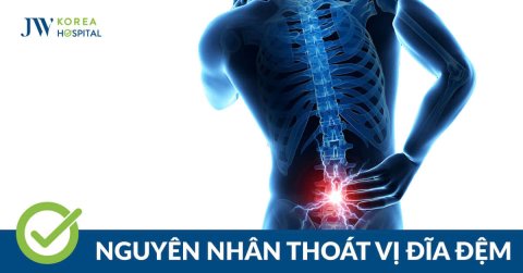 8 nguyên nhân phổ biến gây thoát vị đĩa đệm bạn cần biết