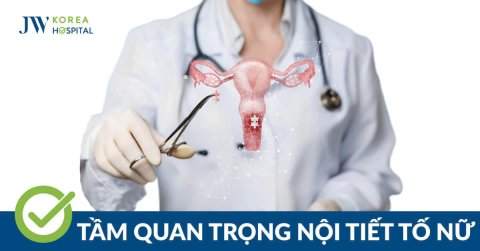 Tầm Quan Trọng Của Nội Tiết Tố Nữ: Bí Quyết Giữ Gìn Sức Khỏe Và Sắc Đẹp