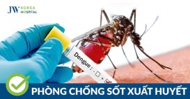 truyền thông bệnh sốt xuất huyết