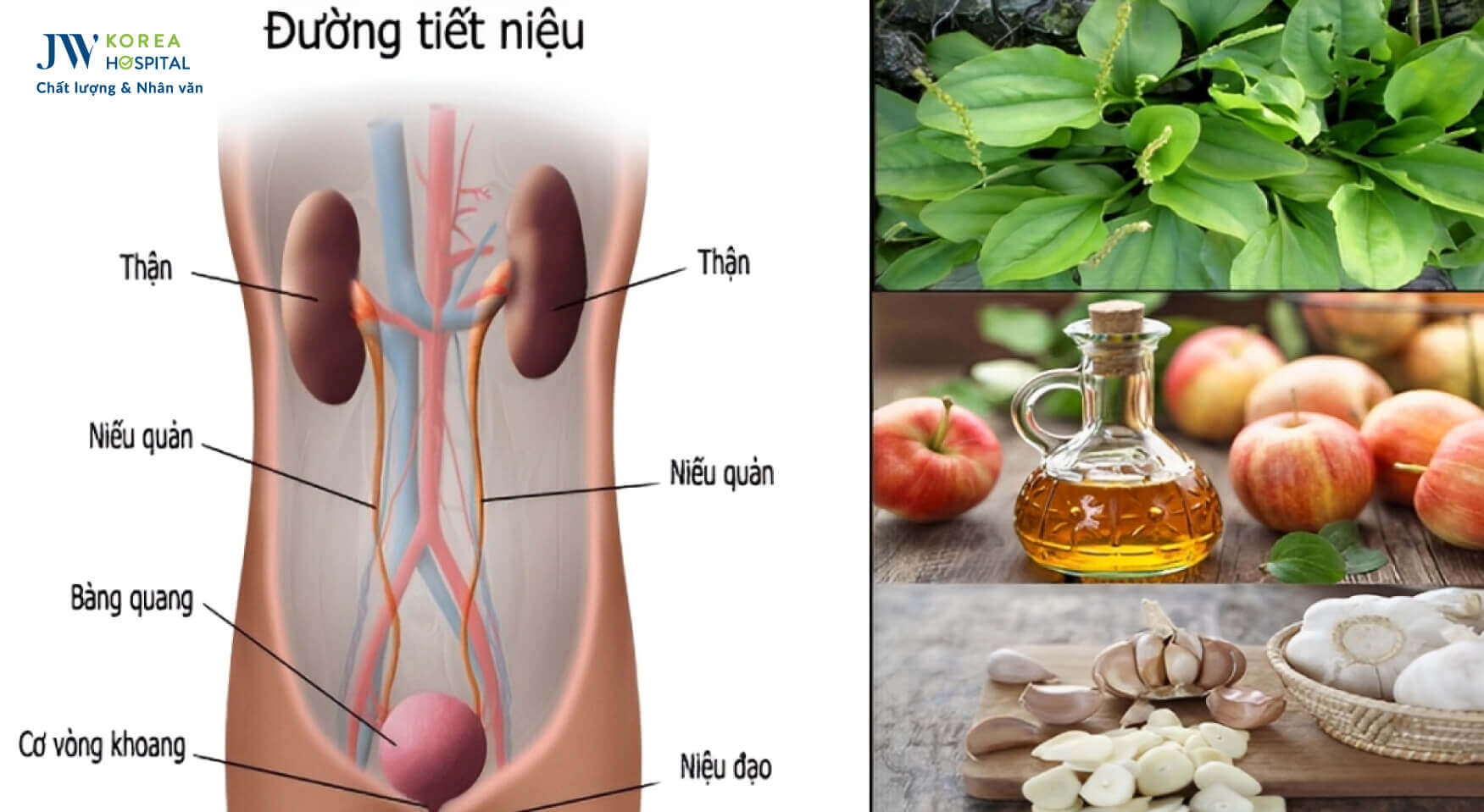 viem-tiet-nieu-tai-nha