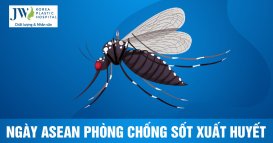 phòng chống sốt xuất huyết