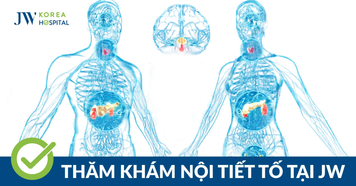 Khám nội tiết bao gồm những gì? Ai nên thăm khám bệnh lý sớm?