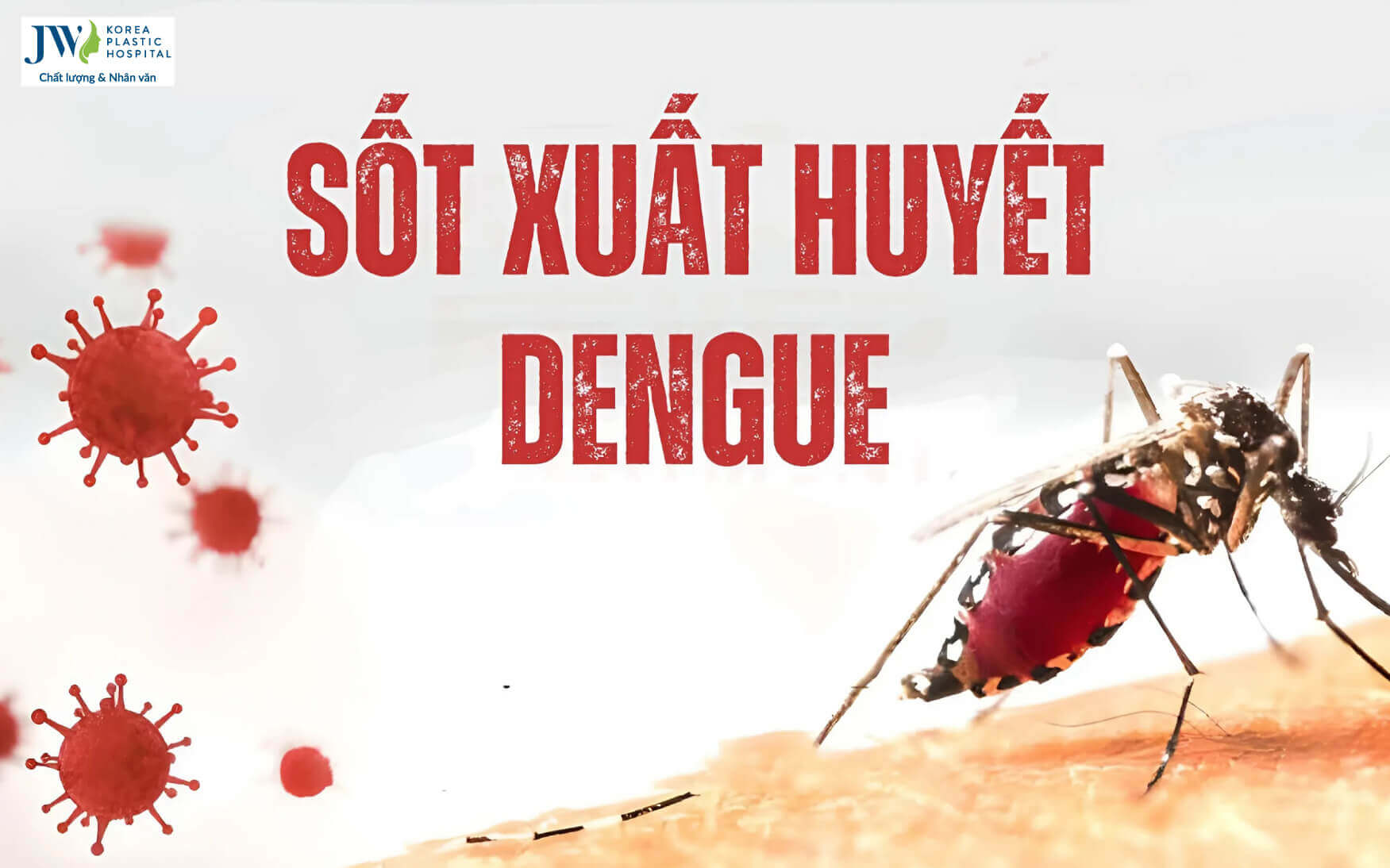 sot-xuat-huyet