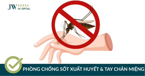 Truyền thông phòng, chống dịch bệnh tại TP.HCM: Sốt xuất huyết & tay chân miệng trong mùa mưa
