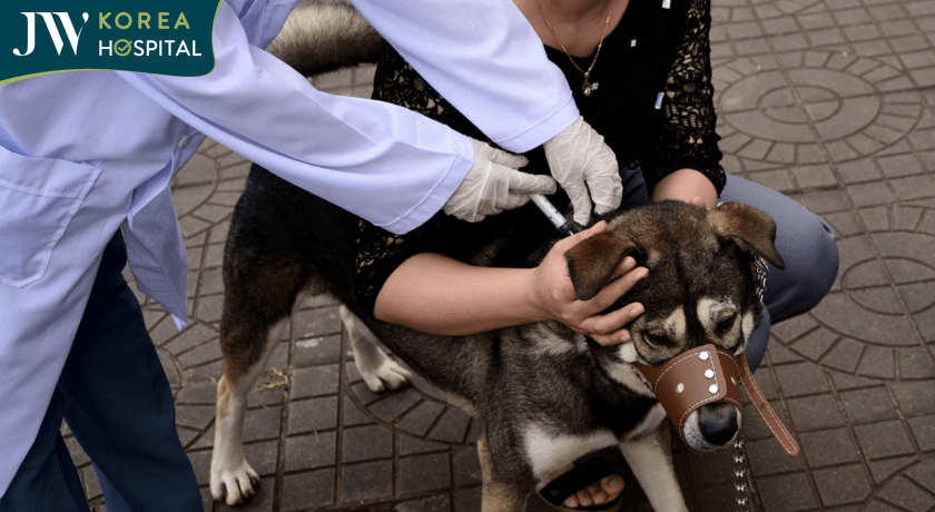 Benh dai la benh truyen nhiem do Rabies virus gay ra, lay tu dong vat co vu sang nguoi thong qua vet can, vet cao hoac nuoc bot