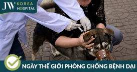 ngay the gioi phong chong benh dai
