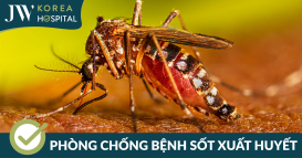 phong chong benh sot xuat huyet
