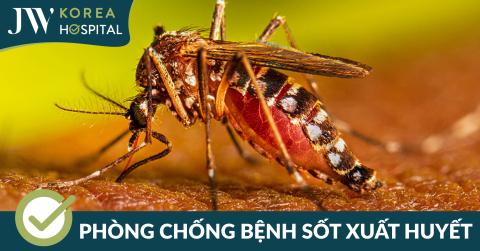 Phòng chống dịch bệnh sốt xuất huyết hiệu quả, nâng cao ý thức phòng bệnh toàn dân