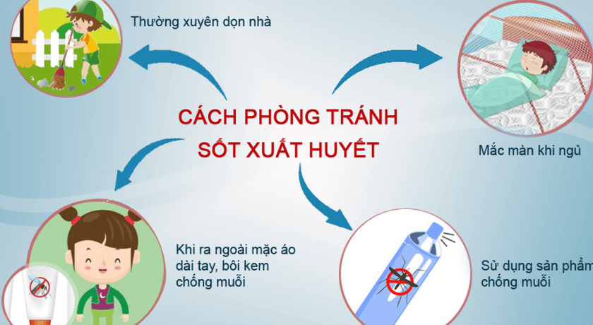 cách phòng tránh sốt xuất huyết