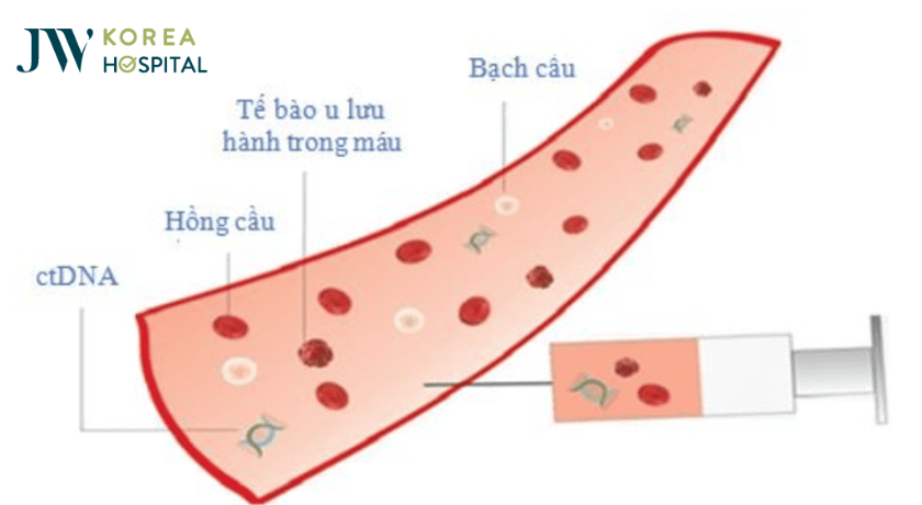 lấy máu sinh thiết ctDNA