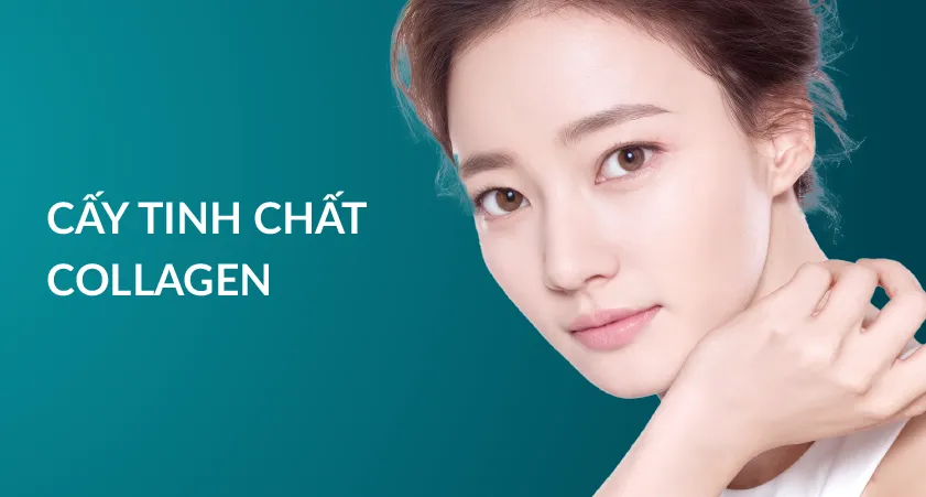 Cấy Tinh Chất, Collagen