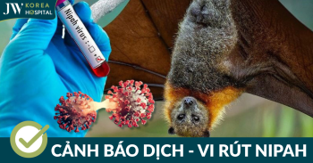 Vi rút Nipah là gì? Nguyên nhân, triệu chứng và cách phòng ngừa