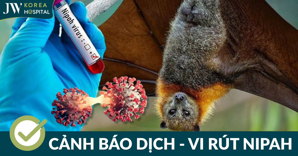 Vi rút Nipah là gì? Nguyên nhân, triệu chứng và cách phòng ngừa