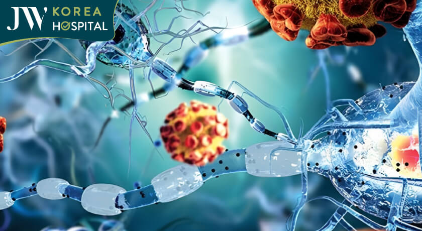 Sau 50 tuổi, quá trình tái tạo tế bào diễn ra chậm hơn. Các tế bào cũ không được thay thế kịp thời, dẫn đến hệ miễn dịch suy giảm 