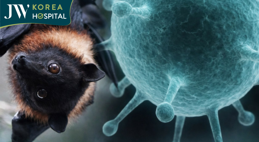 Thế giới cảnh báo về độ nguy hiểm và tỷ lệ tử vong cao của dịch bệnh do vi rút Nipah gây ra 