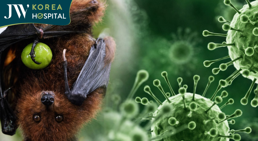 Vi rút Nipah được phát hiện tại Ấn Độ và đang lây lan nhanh