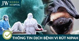 Thông tin cần biết của dịch bệnh vi rút Nipah