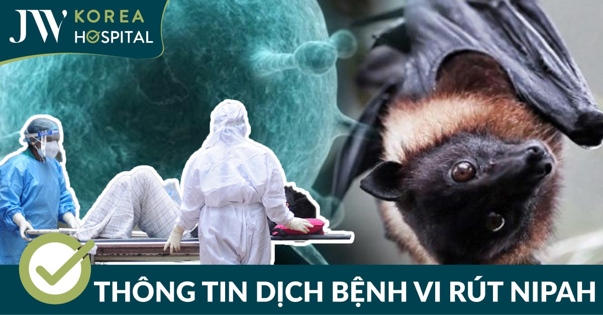 Thông tin cần biết về Vi rút Nipah