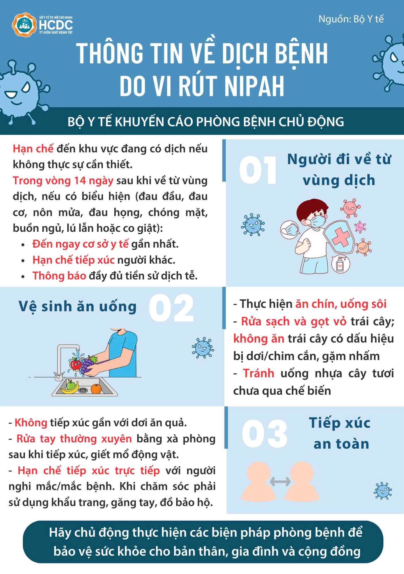 Vi rút Nipah có nguồn gốc từ loài dơi ăn hoa quả 