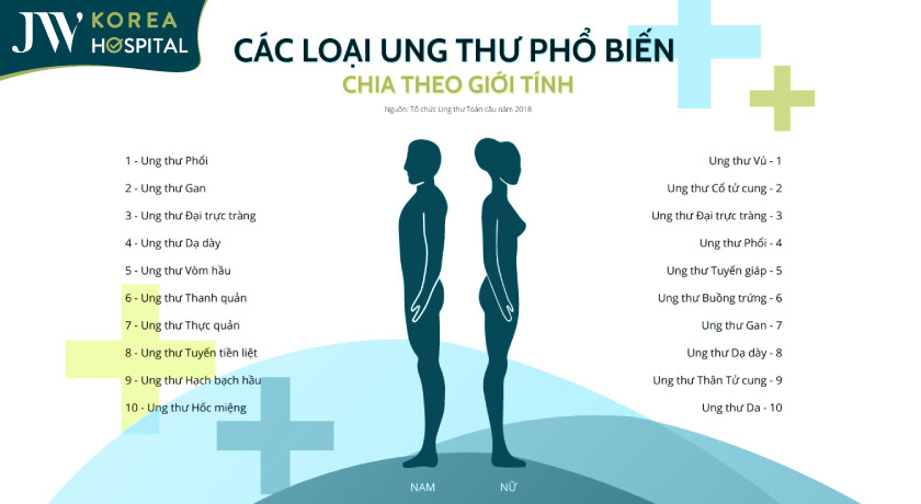 Các loại ung thư phổ biến hiện nay được ghi nhận theo giới tính nam và nữ