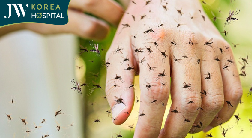 Bị muỗi cắn có thể bị nhiễm bệnh sốt rét 