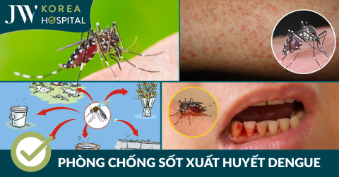 Hưởng ứng Ngày ASEAN phòng chống sốt xuất huyết 15/6: Vì một cộng đồng mạnh khỏe