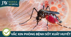 Chủ động phòng chống bệnh sốt xuất huyết bảo vệ sức khỏe cộng đồng