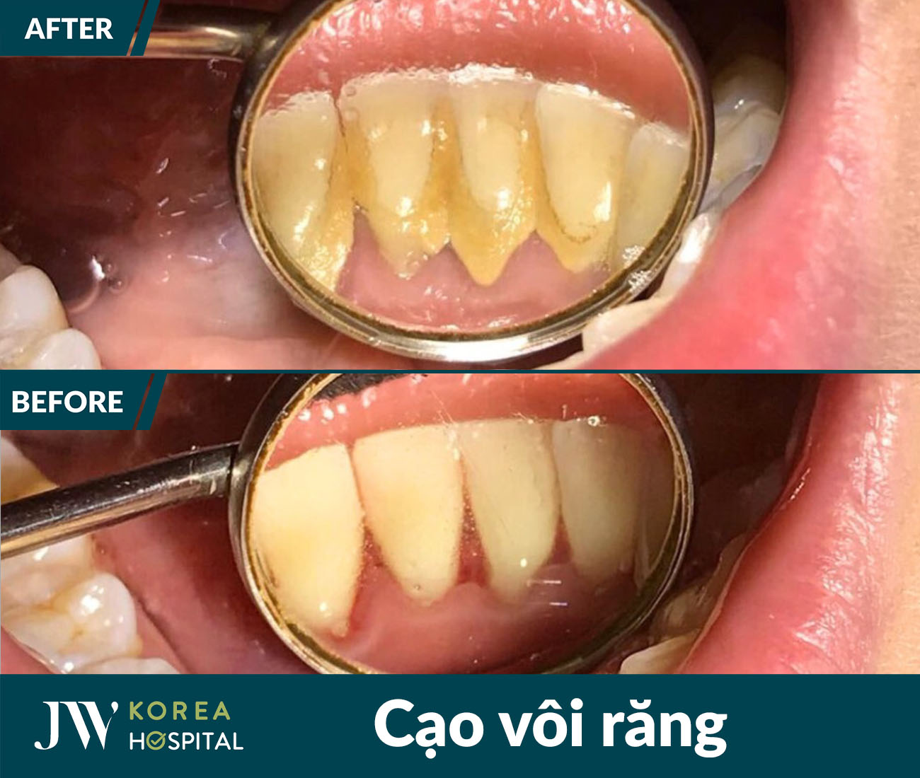 Nha khoa tổng quát