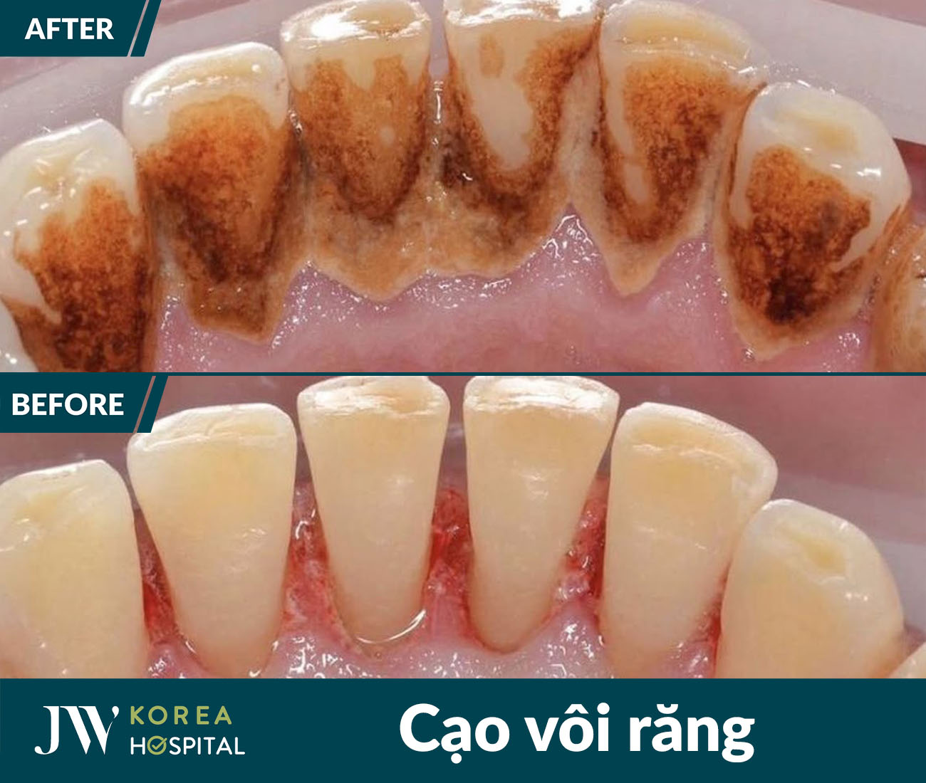 Nha khoa tổng quát
