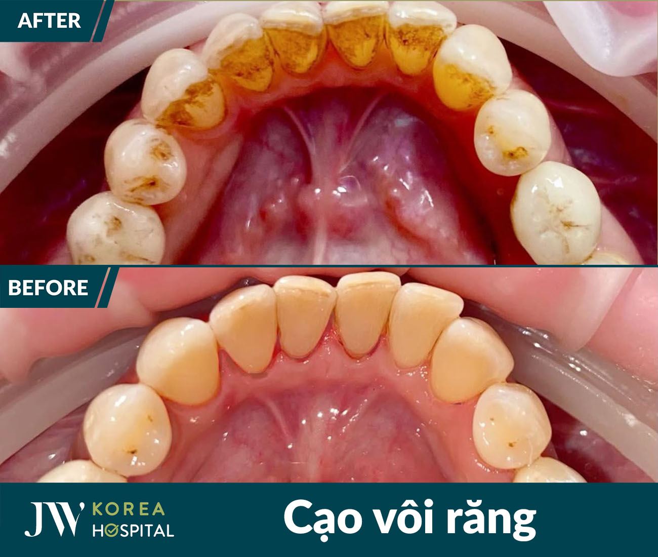 Nha khoa tổng quát