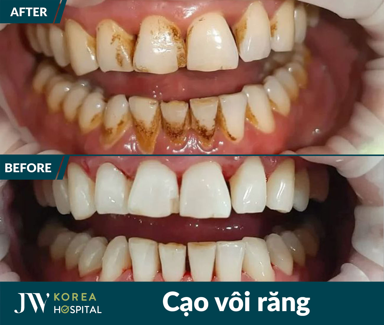 Nha khoa tổng quát