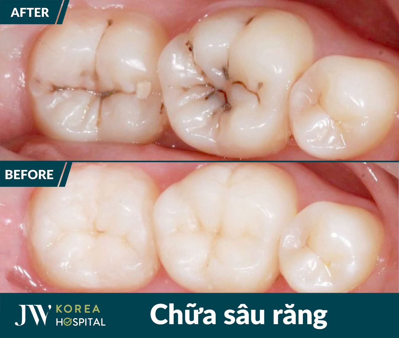 Nha khoa tổng quát