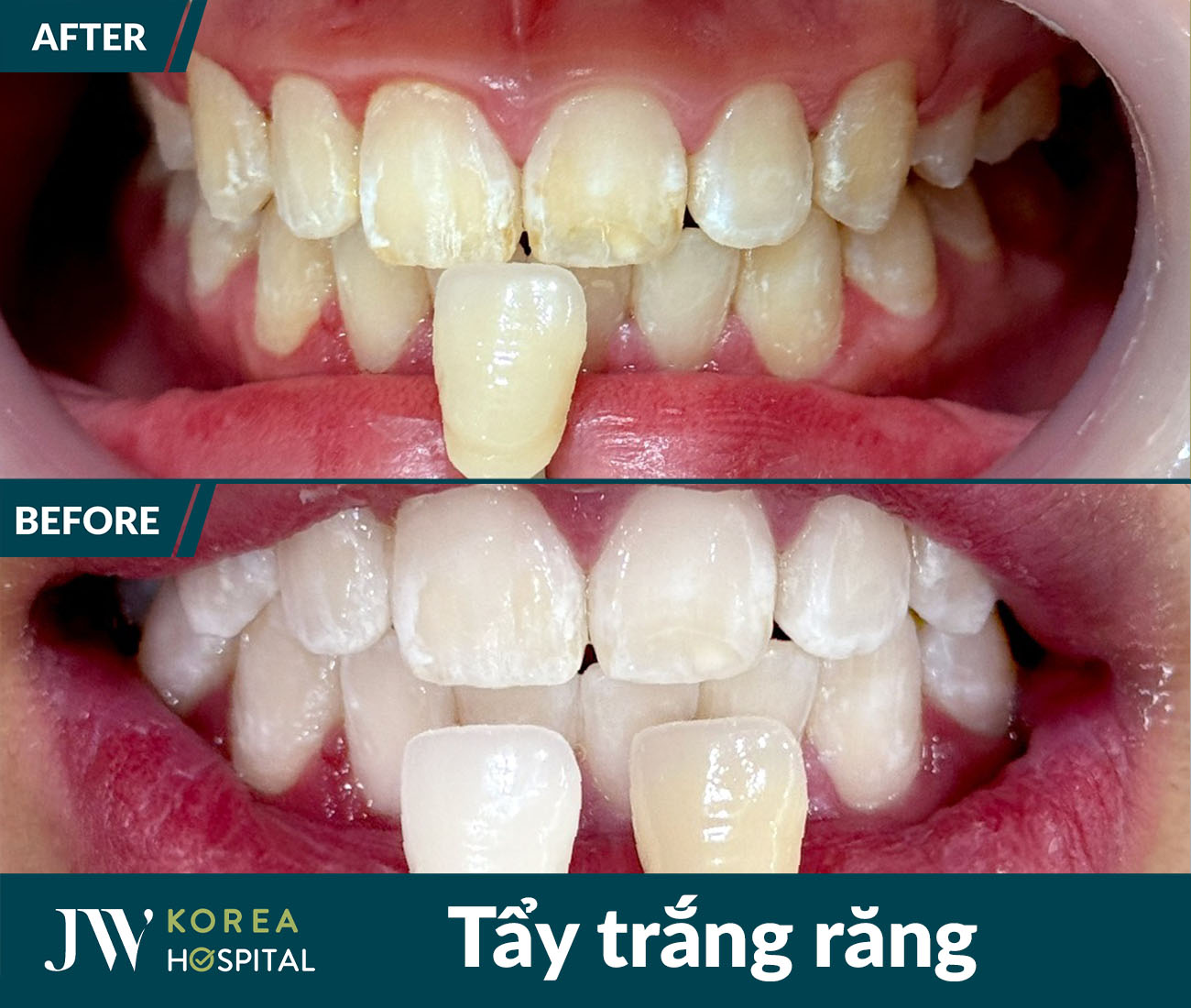 Nha khoa tổng quát