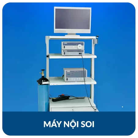 may-noi-soi