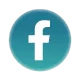Zalo icon